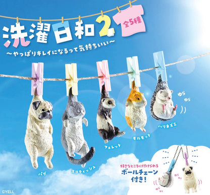 Hanging Washing Animals Blind Box