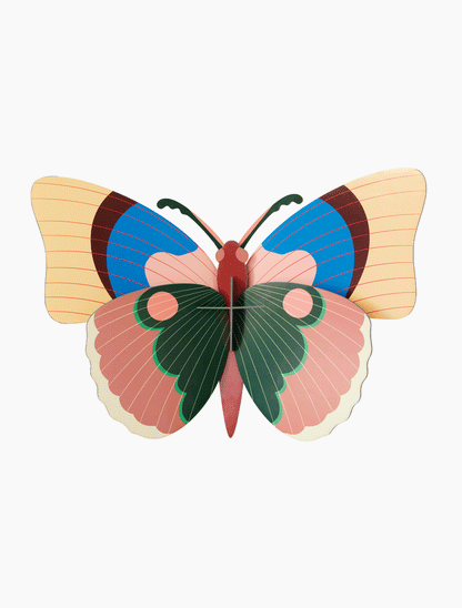 3D Wall Art - Butterfly - Cepora Butterfly