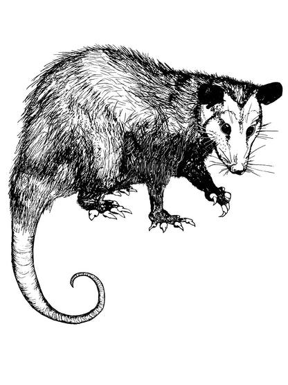 Opossum Babe Baby Doll Tee