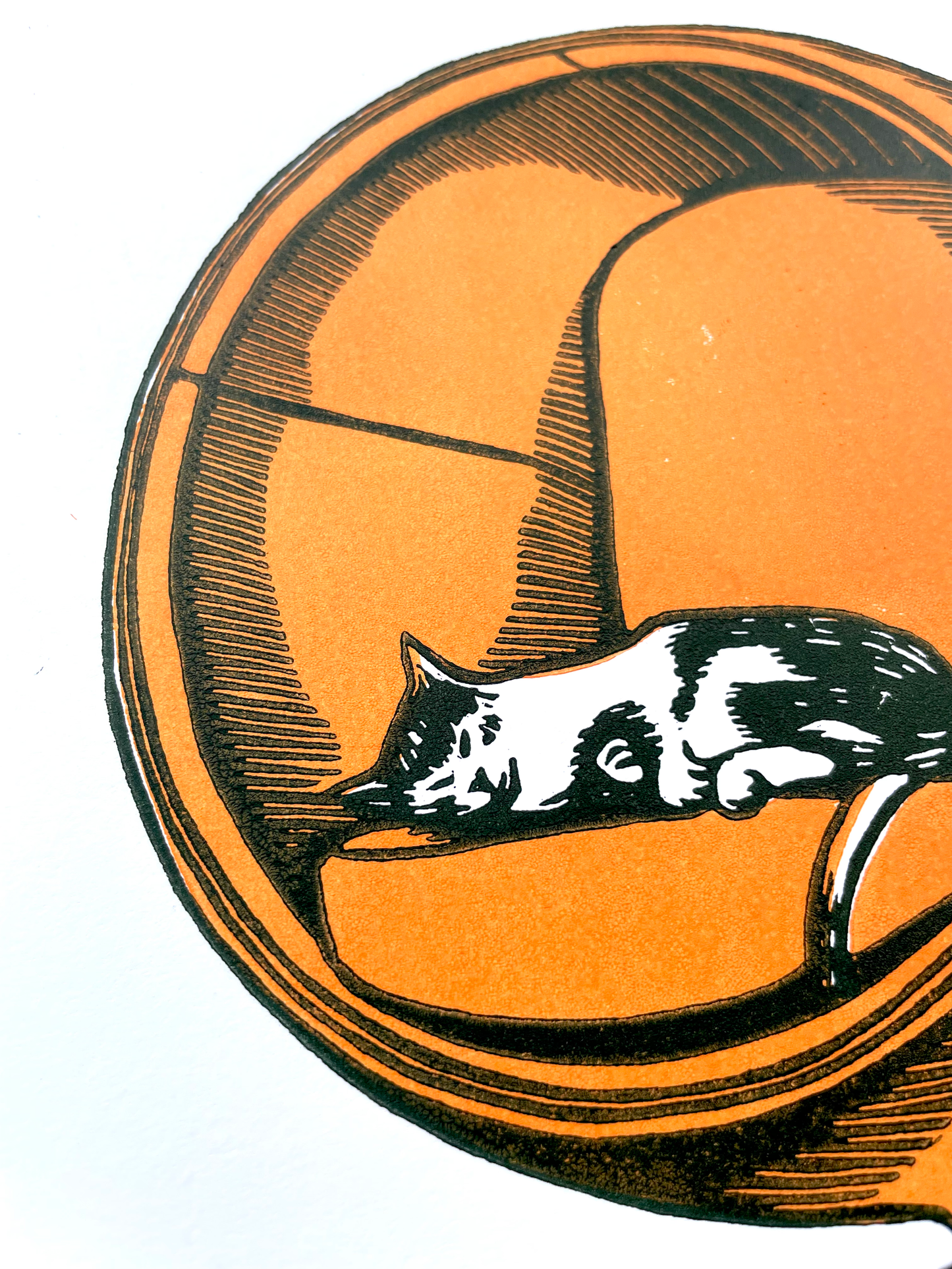 Cat in Ball Chair Lincout Print