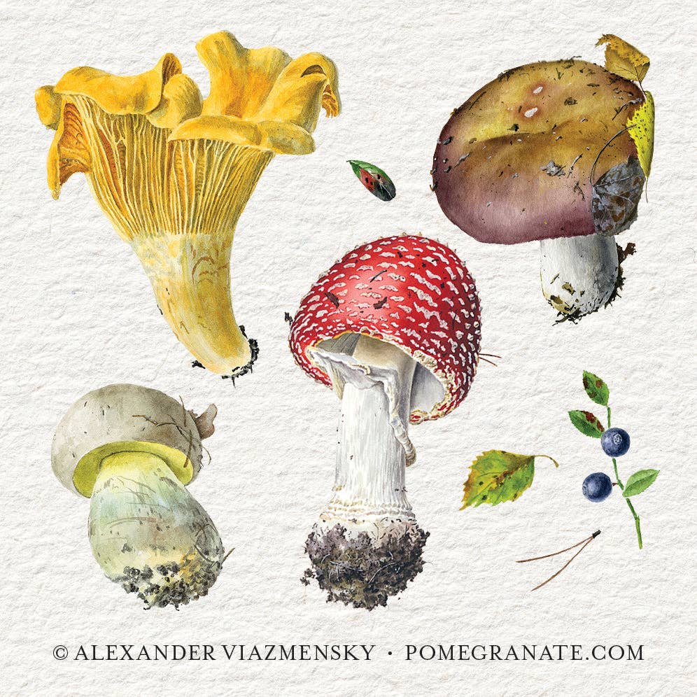 Mushrooms: Alexander Viazmensky Memory Game