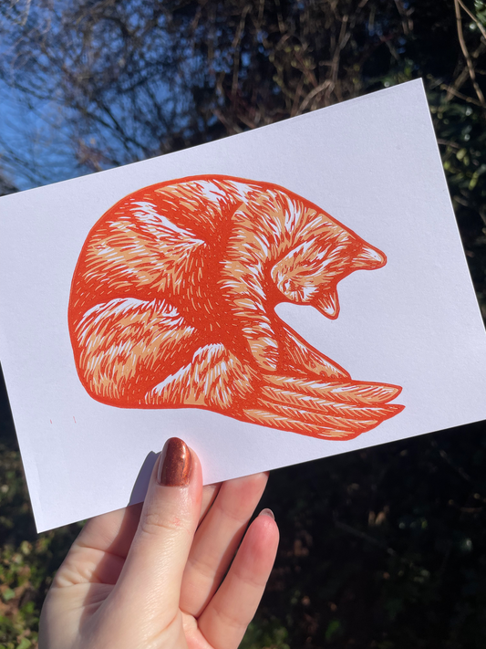 Shrimp Cat Linocut Print