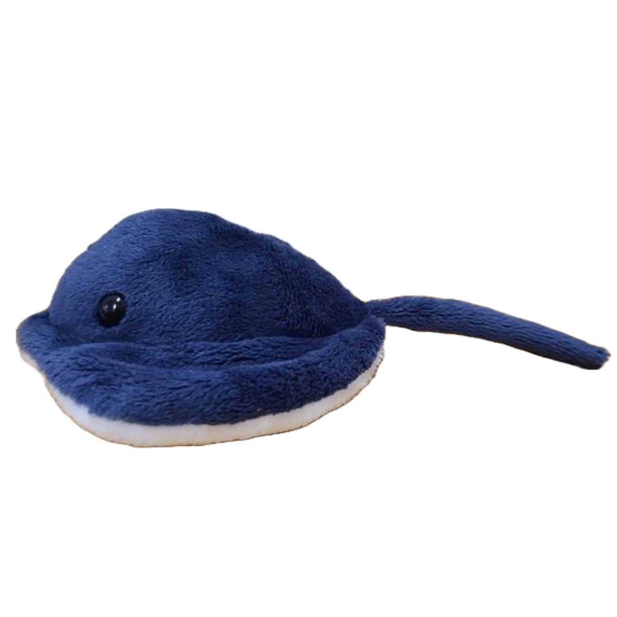 Ray the Canned Stingray