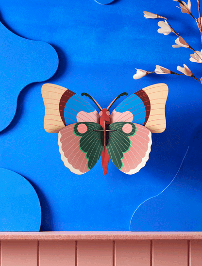 3D Wall Art - Butterfly - Cepora Butterfly