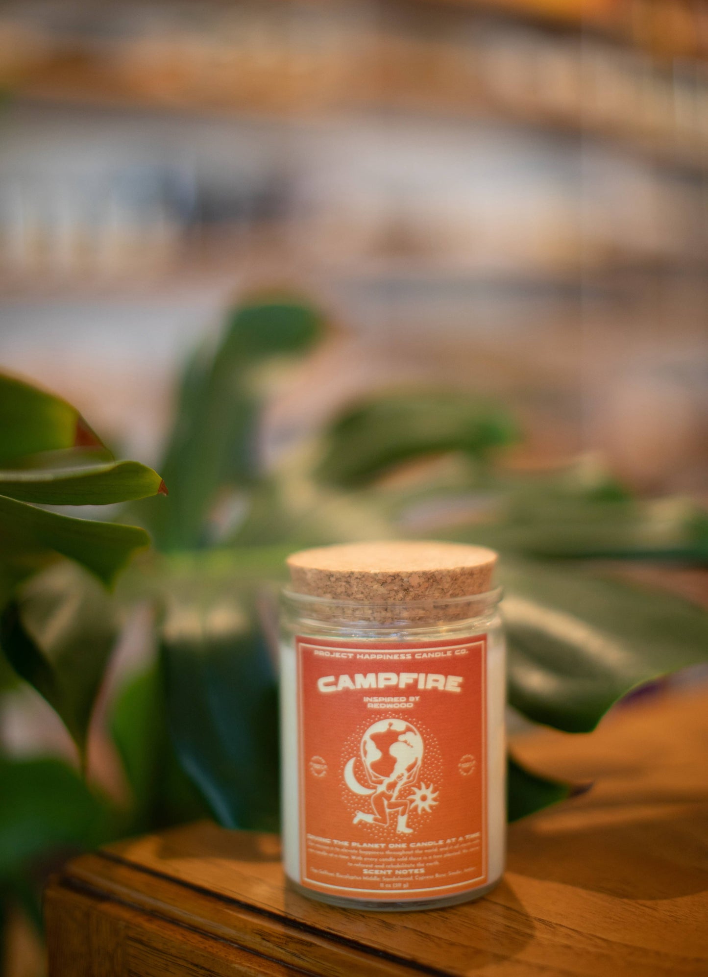 Redwood and Moss Soy Candle - Redwood National Park 11oz 