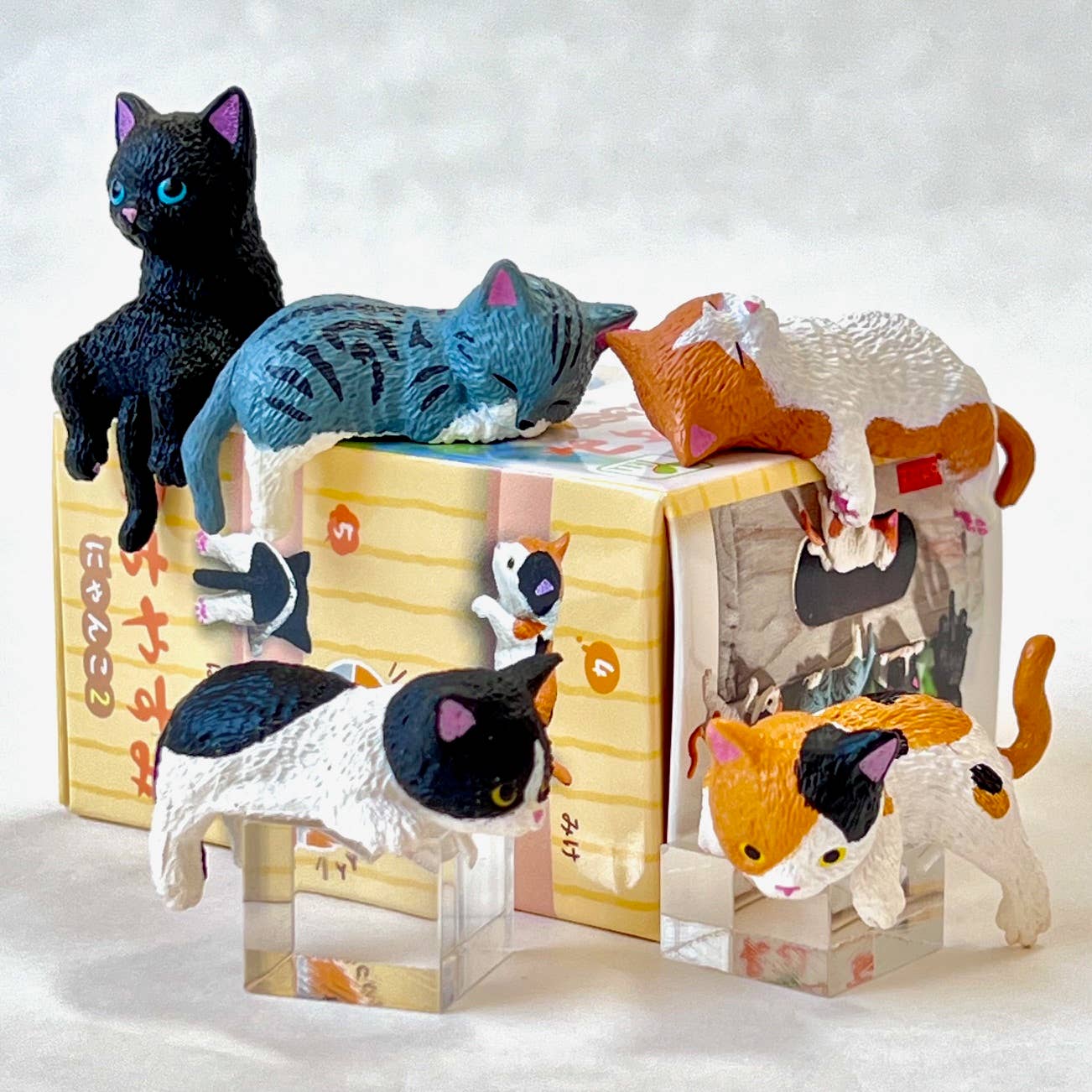 Resting Cats Blind Box