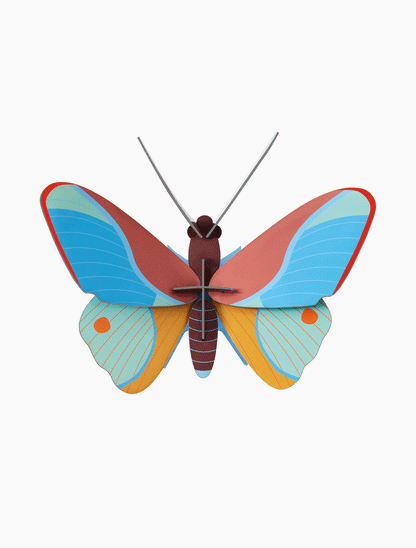 3D Wall Art - Butterfly - Claudina Butterfly