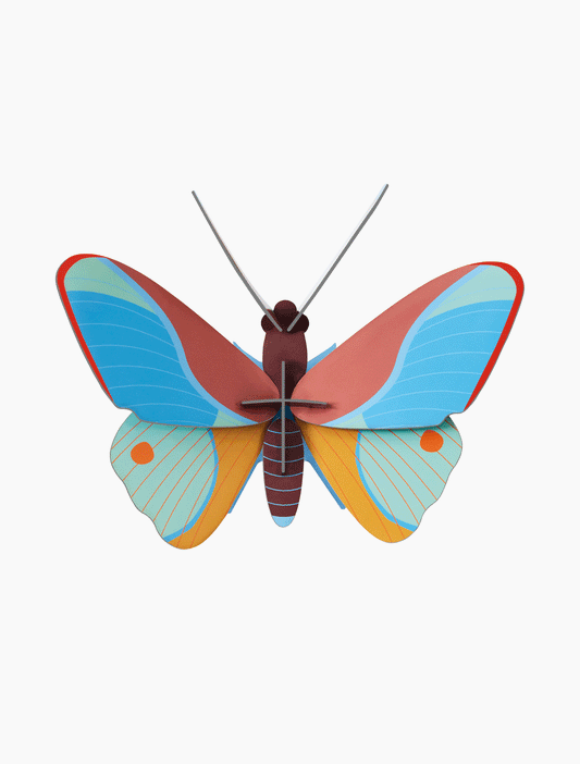 3D Wall Art - Butterfly - Claudina Butterfly