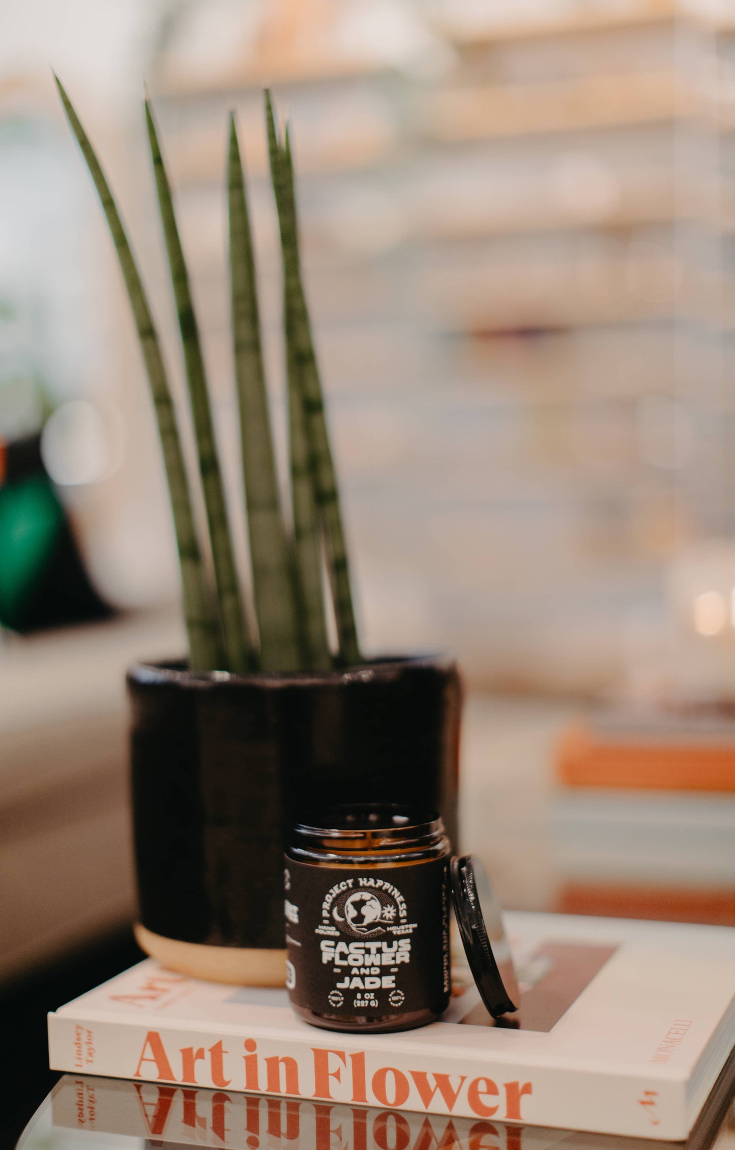 Cactus Flower and Jade Soy Candle - 8oz | Valentines Day