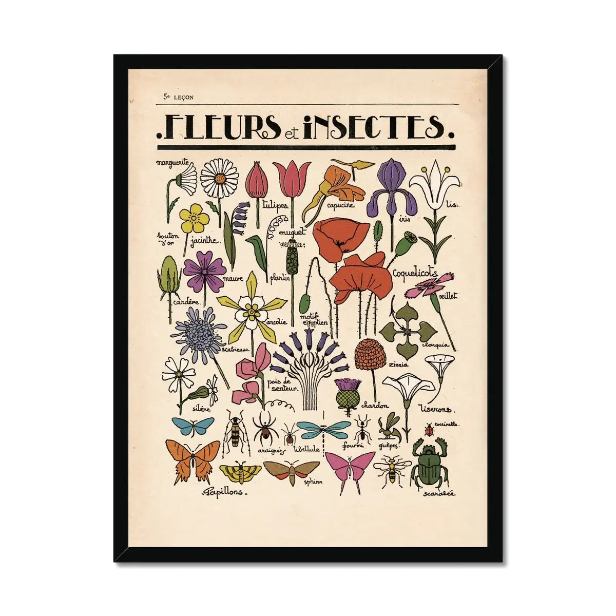 Fleurs et Insectes Fine Art Print