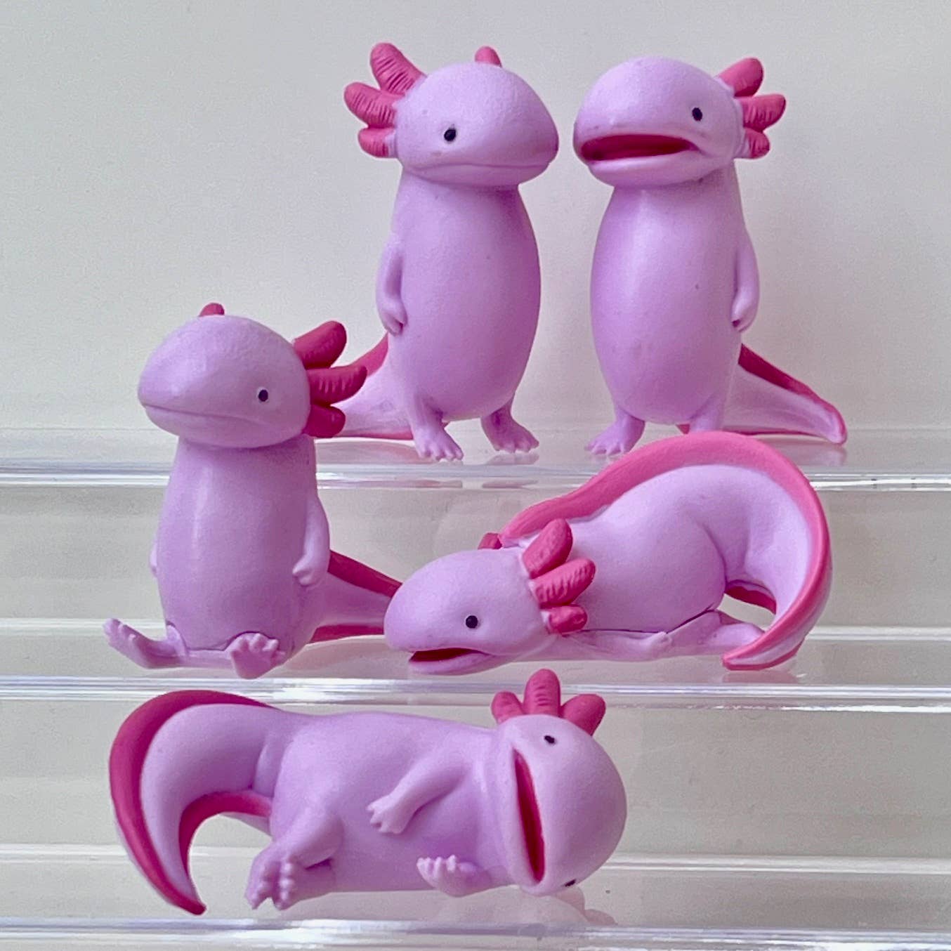 Axolotl Void Blind Box