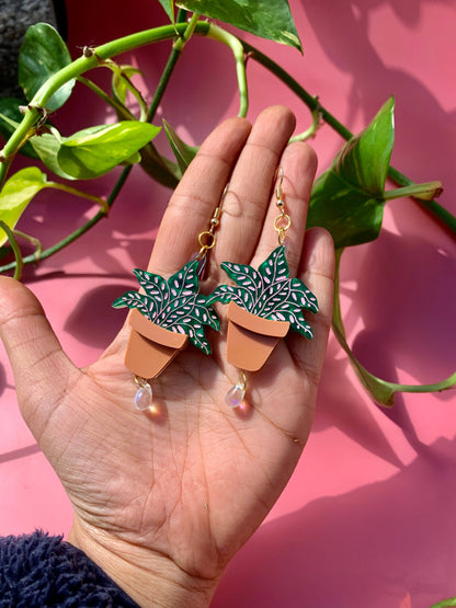 Terracotta Plant Earrings