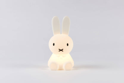 Miffy Bundle of Light