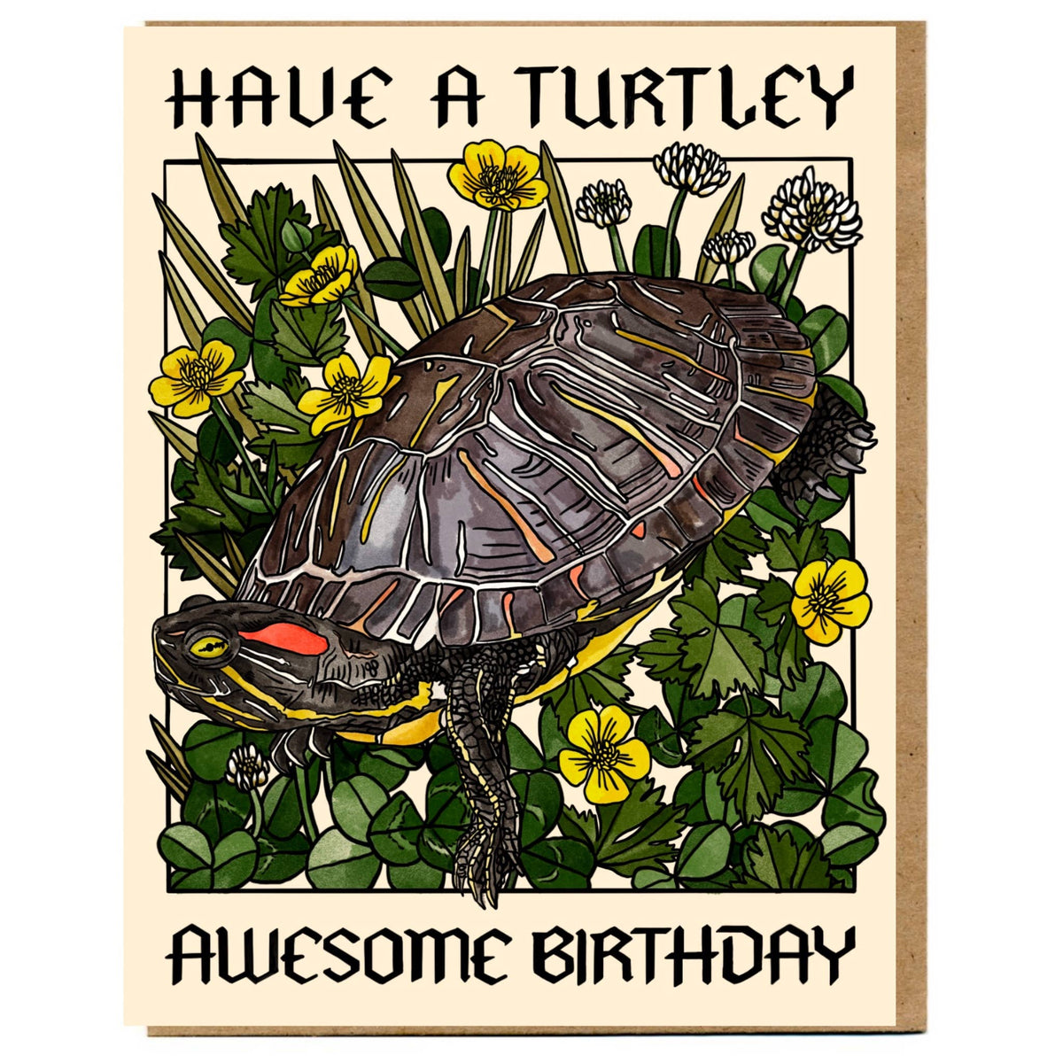Have A Turtley Awesome Birthday Card