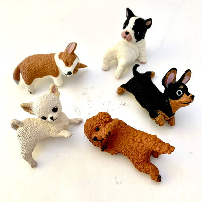 Resting Dogs Blind Box