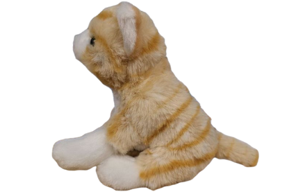 Canned Orange Tabby Cat