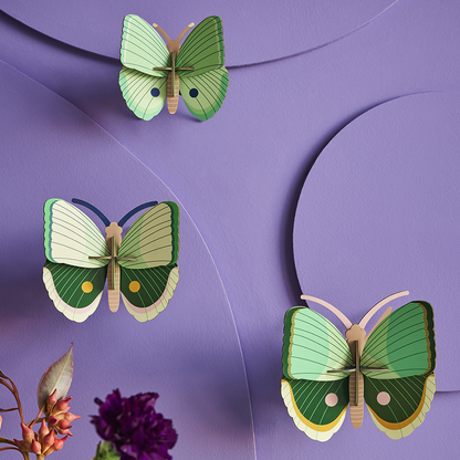 3D Wall Art - Butterflies- Fern Striped Butterflies set of 3