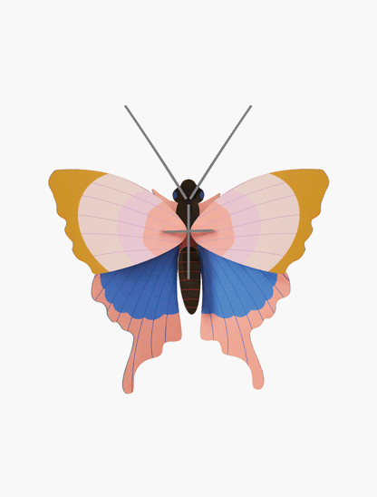 3D Wall Art - Butterfly - Gold Rim Butterfly