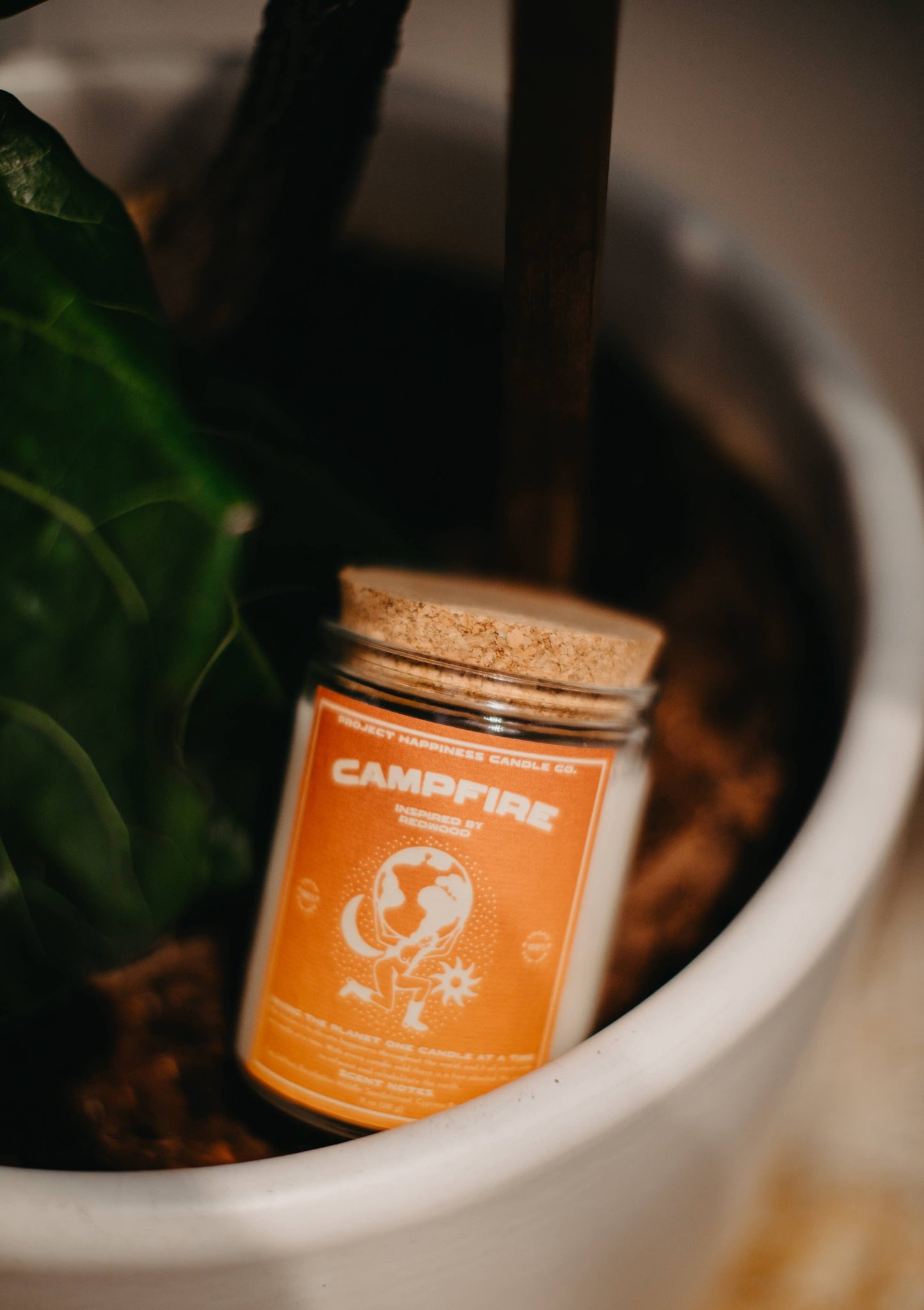 Redwood and Moss Soy Candle - Redwood National Park 11oz 