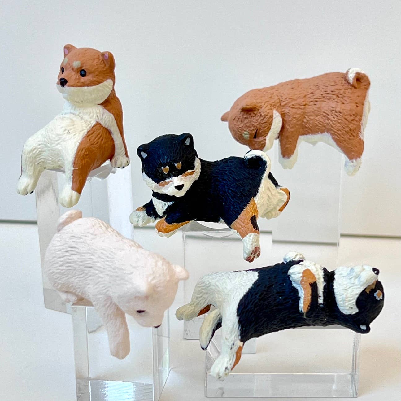 Playful Hanging Shiba Blind Box