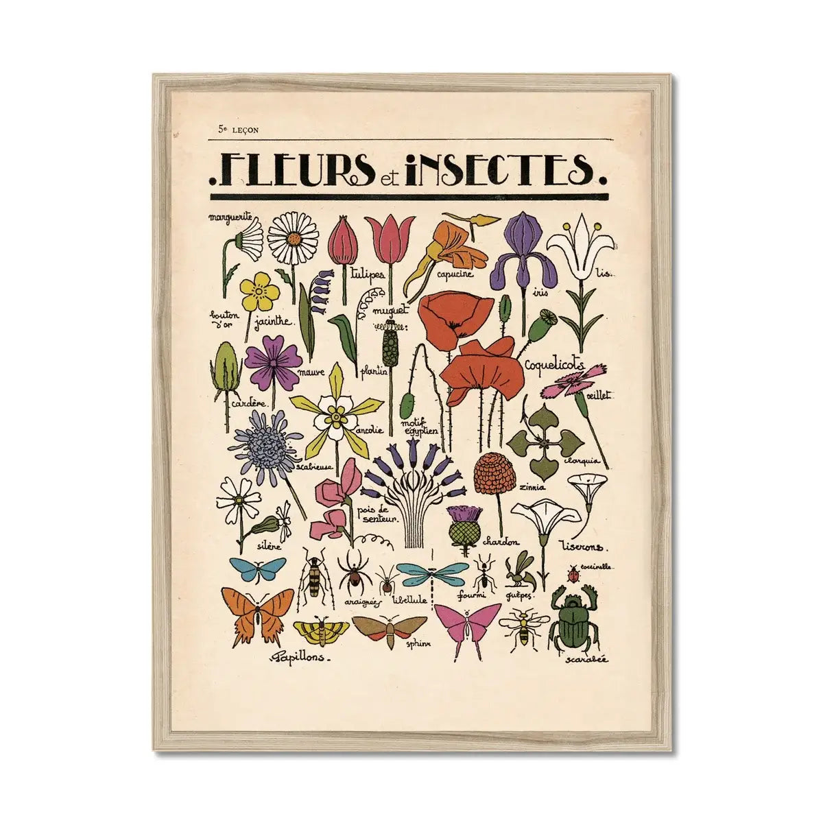 Fleurs et Insectes Fine Art Print