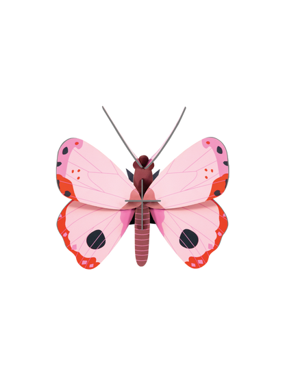 3D Wall Art - Butterfly - Rosora Butterfly