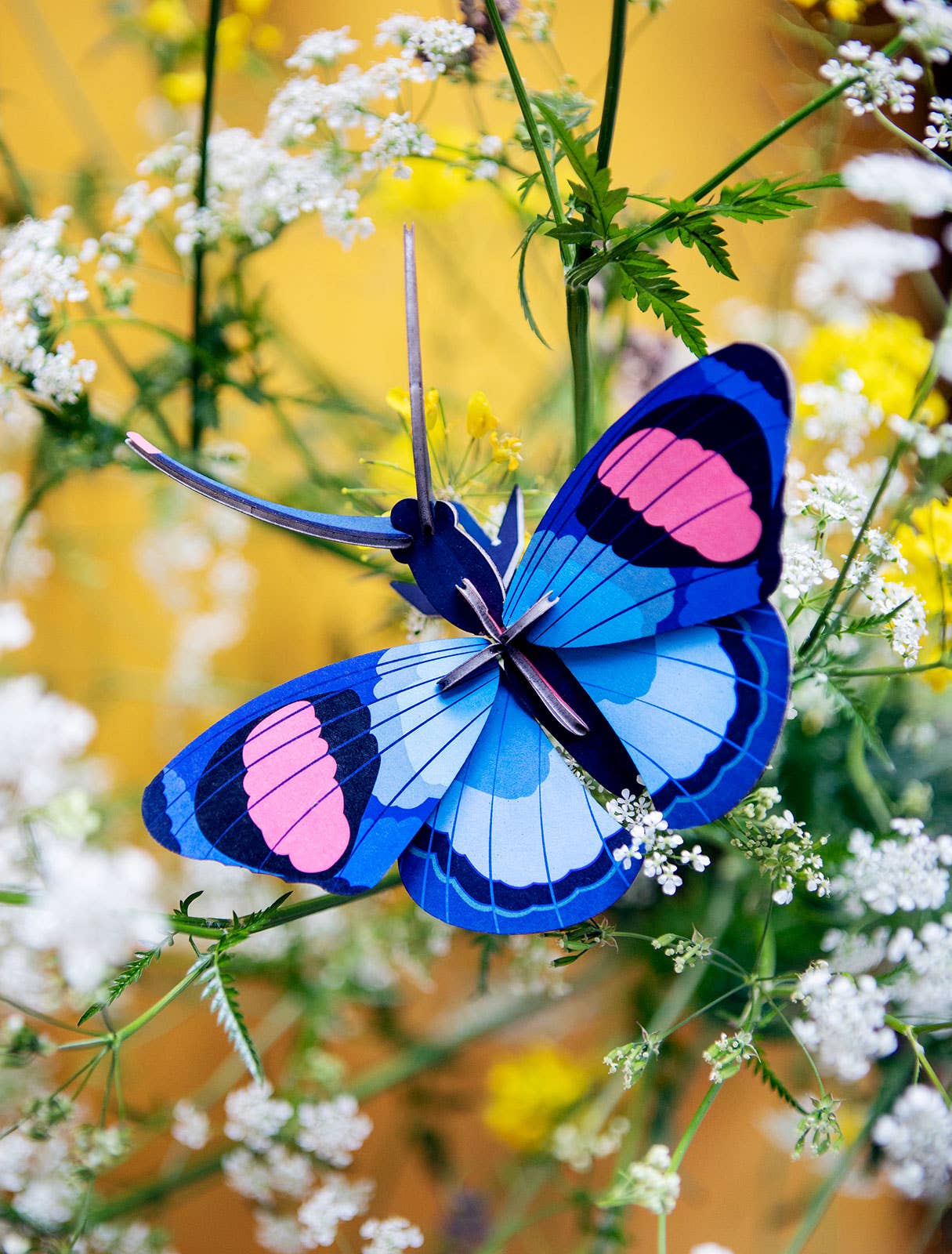 3D Wall Art - Butterfly - Peacock Butterfly