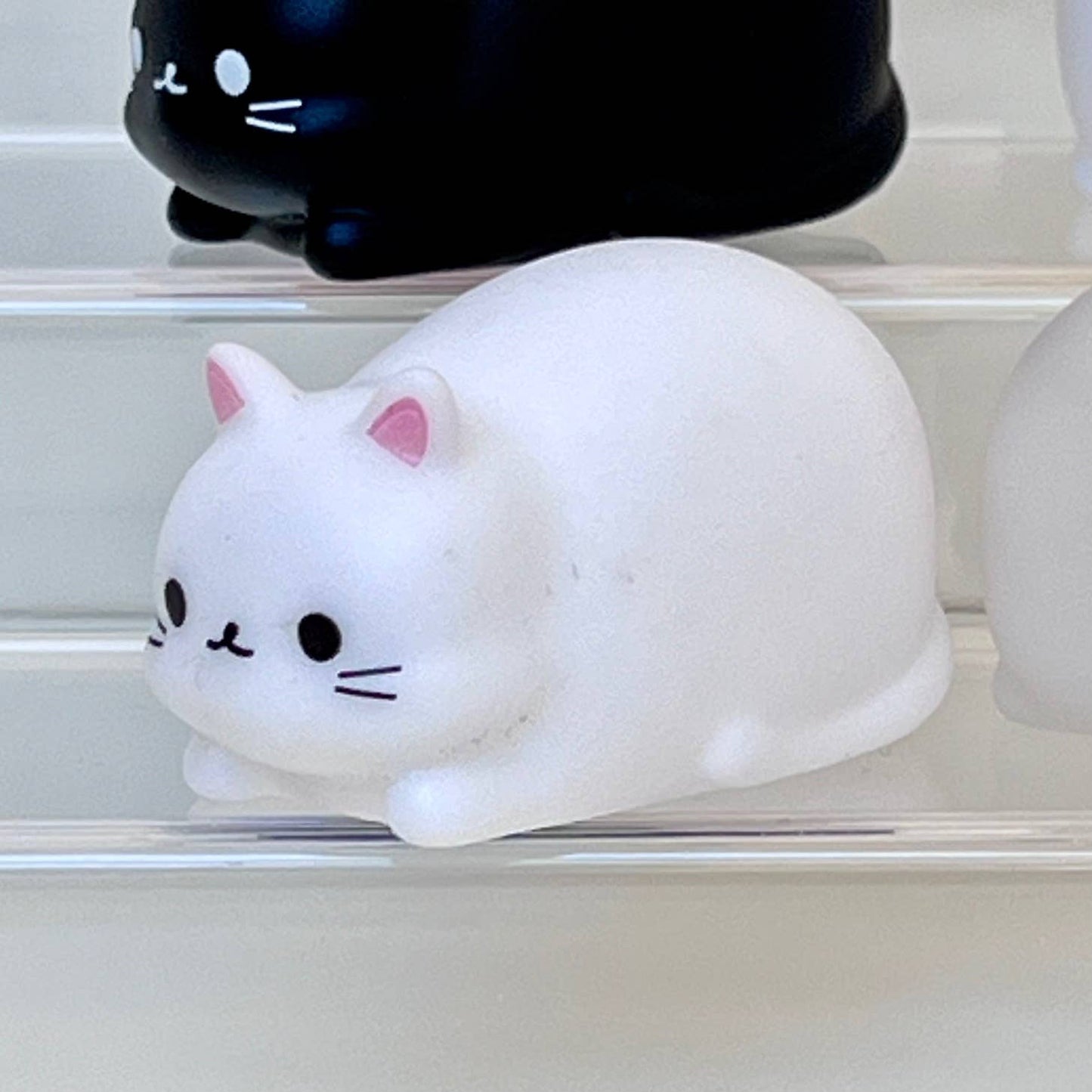 Cat Squeaky Toys