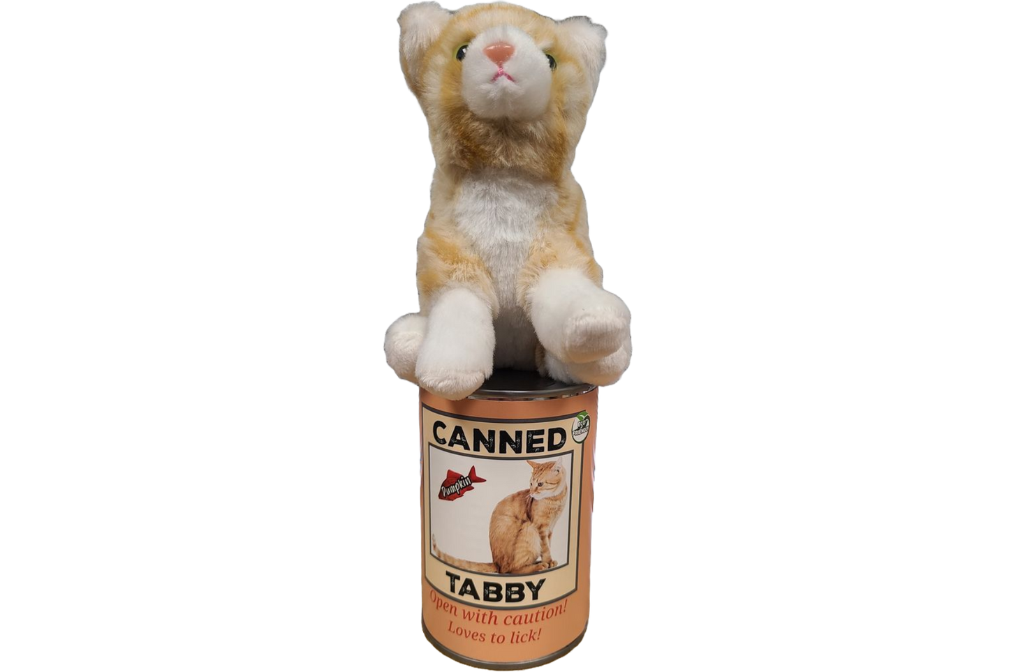 Canned Orange Tabby Cat