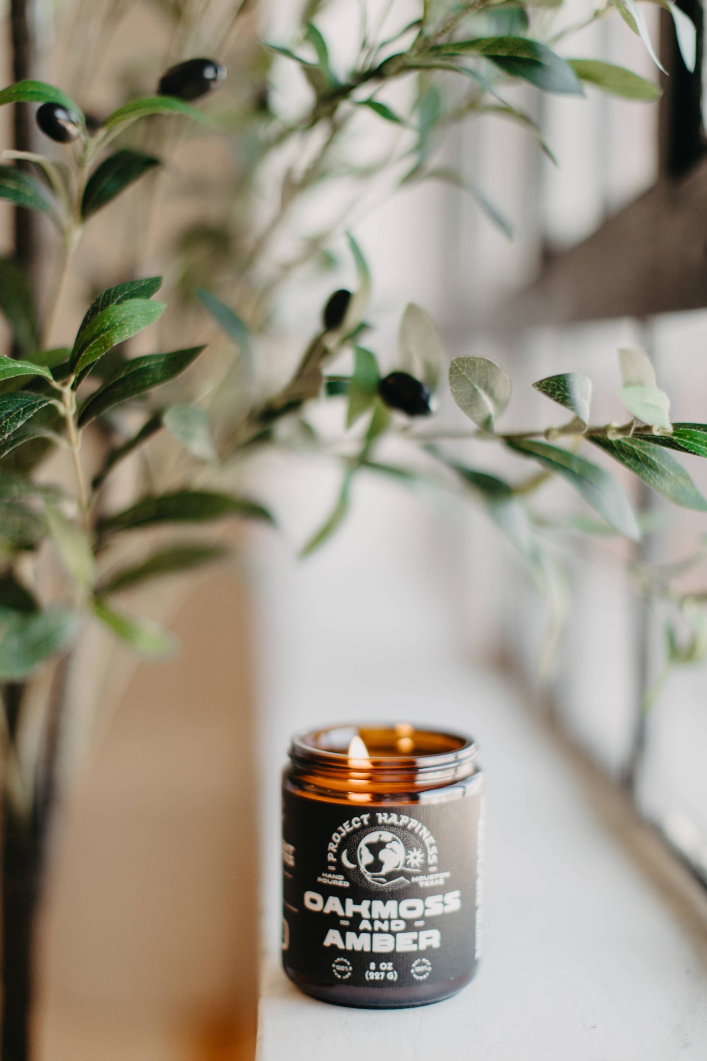 Oakmoss and Amber Soy Candle - 8oz | Valentine's Scent