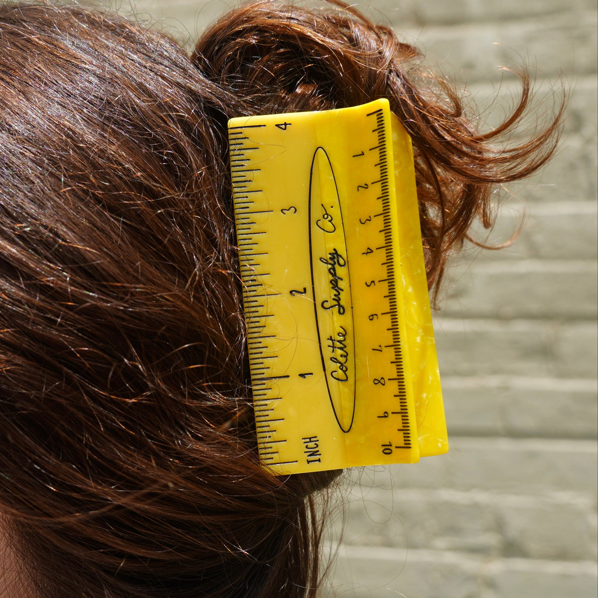 Ruler Hair Claw