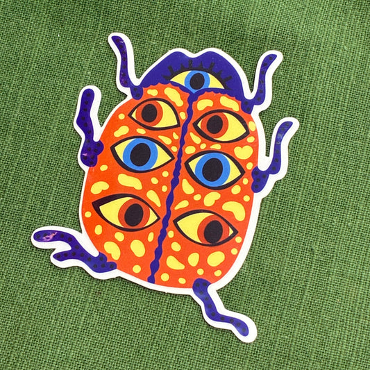 Asian Lady Beetle