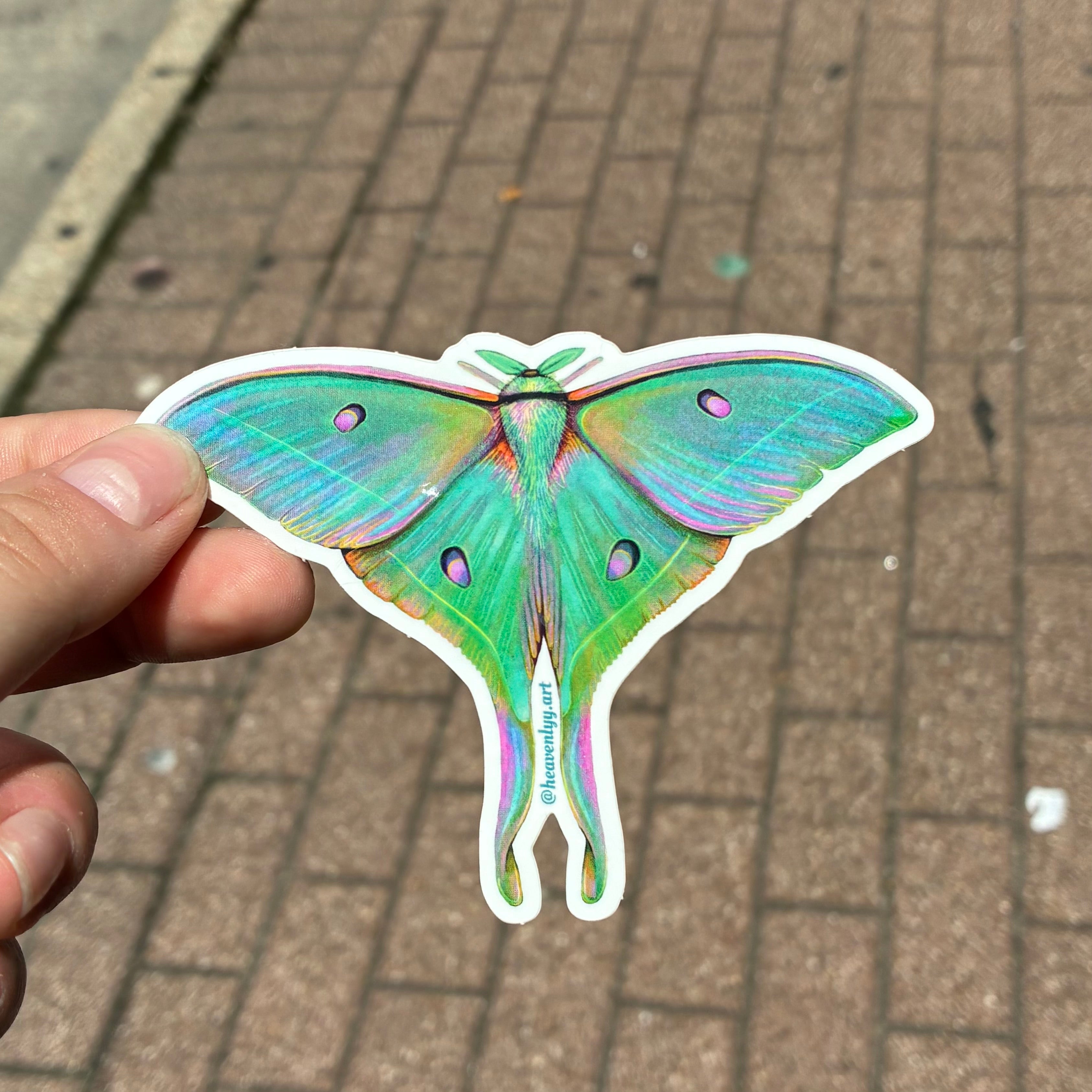 Luna Moth Sticker Luna Moth Sticker – Cocodrie Collective