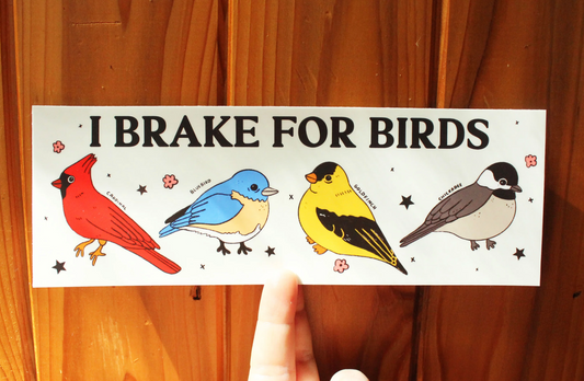 I Brake For Birds Bumper Sticker