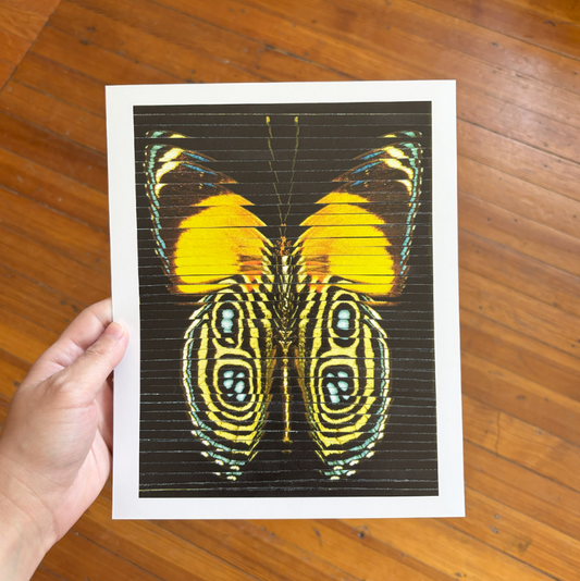 Butterfly Collage Print