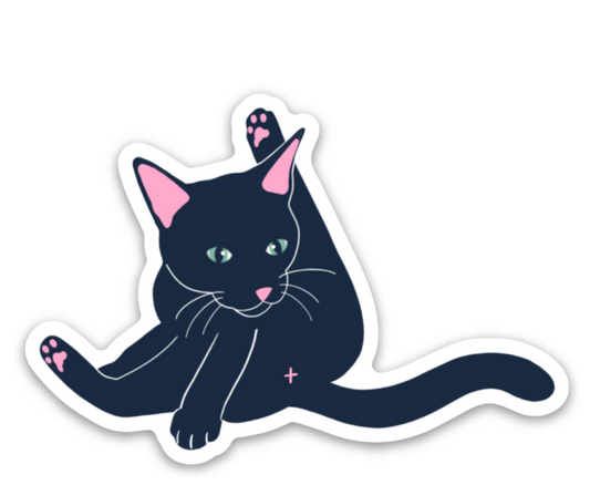 Cat Butt Magnet