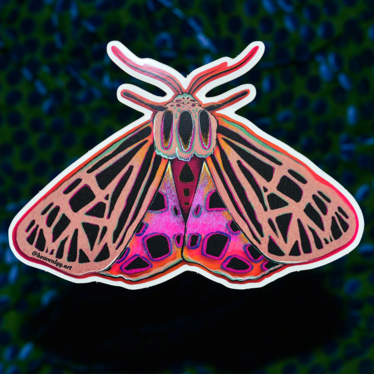 Tiger Moth Sticker