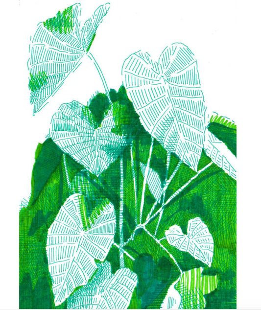 Elephant Ear Print