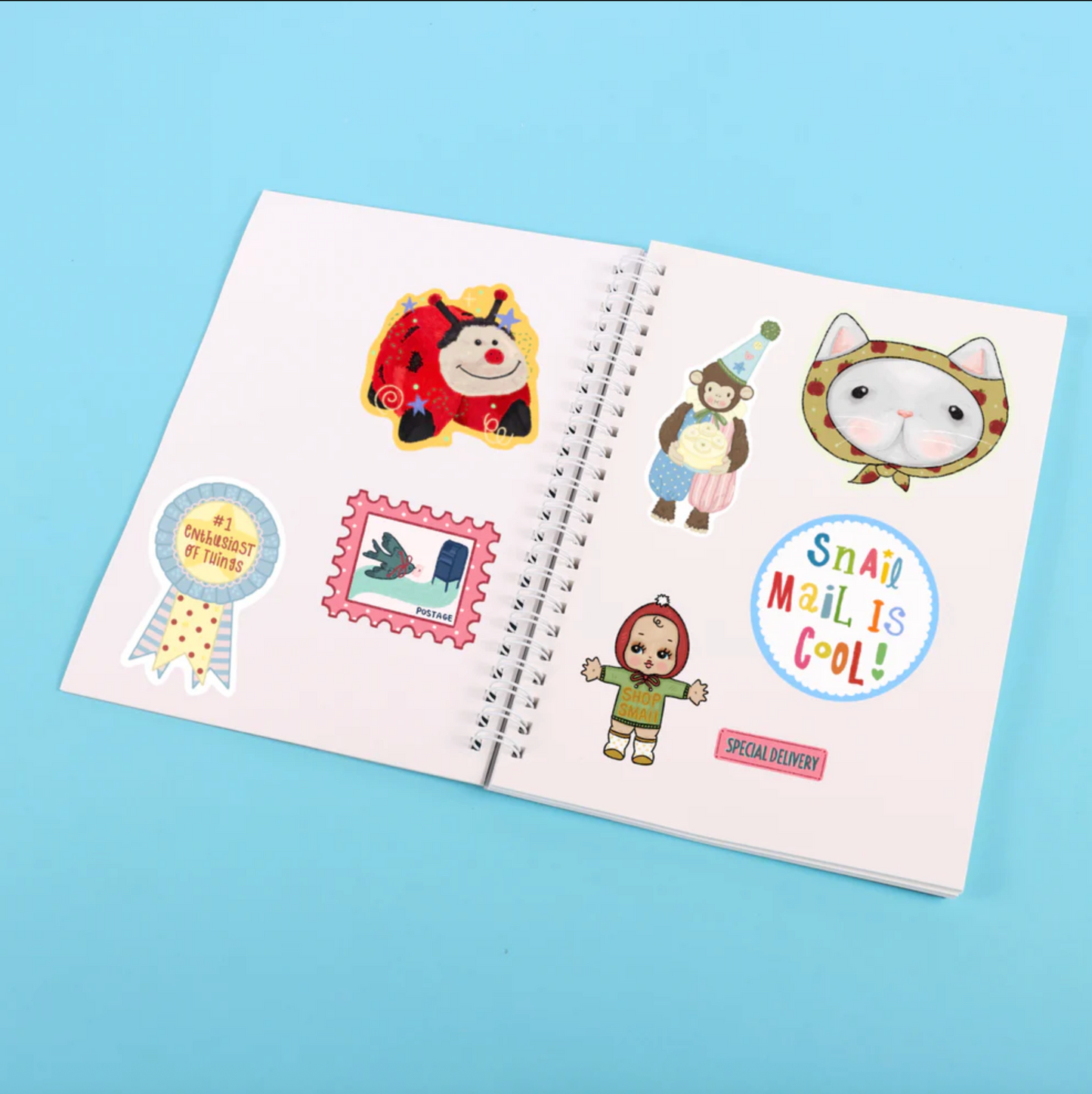 Reusable Sticker Book