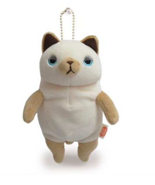Mini Siamese Cat