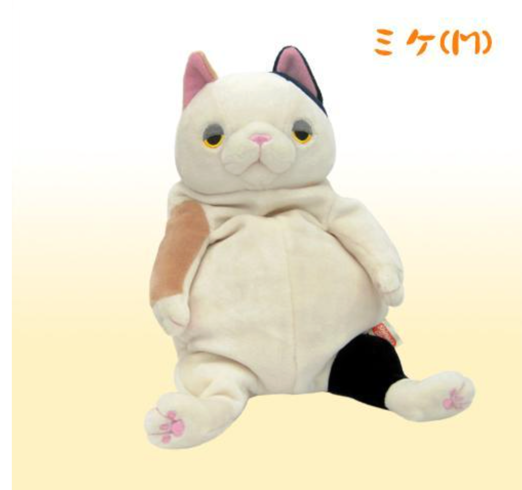Medium Calico Cat