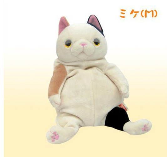 Medium Calico Cat