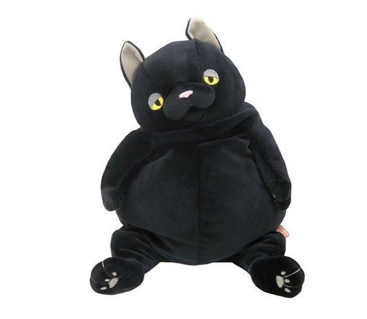 Large Black Cat