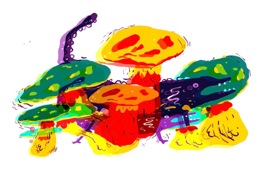 Super Riso Toad Print