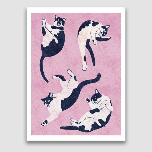 Not Sister Print