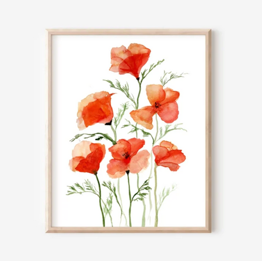 California Poppy Print