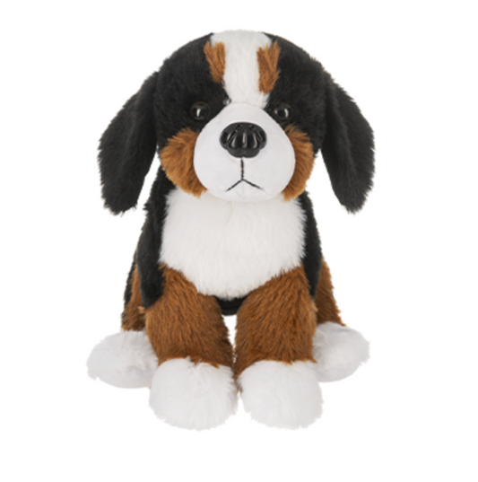 Bernese Mountain Dog