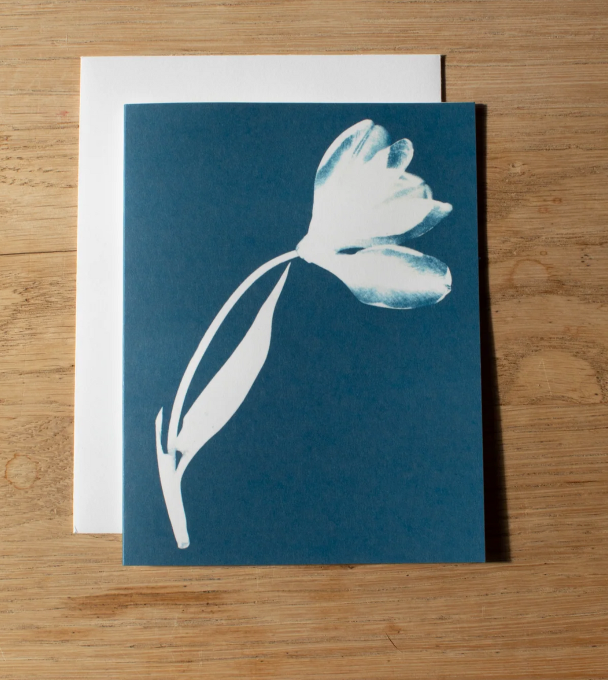 Cyanotype Greeting Card