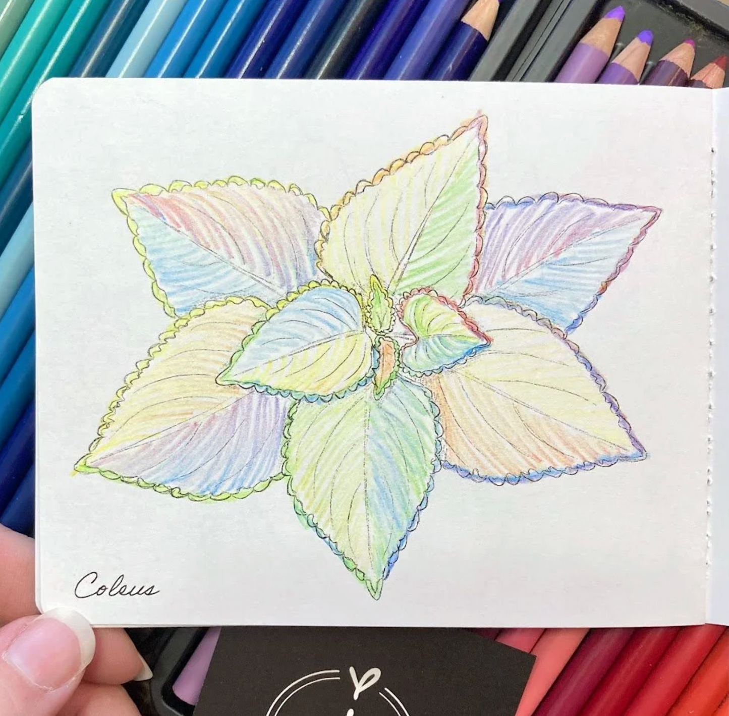 Mini Coloring Book- Plants