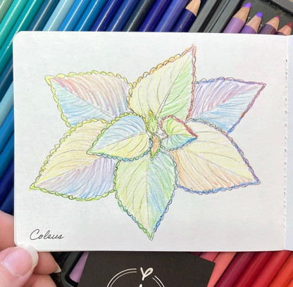 Mini Coloring Book- Plants
